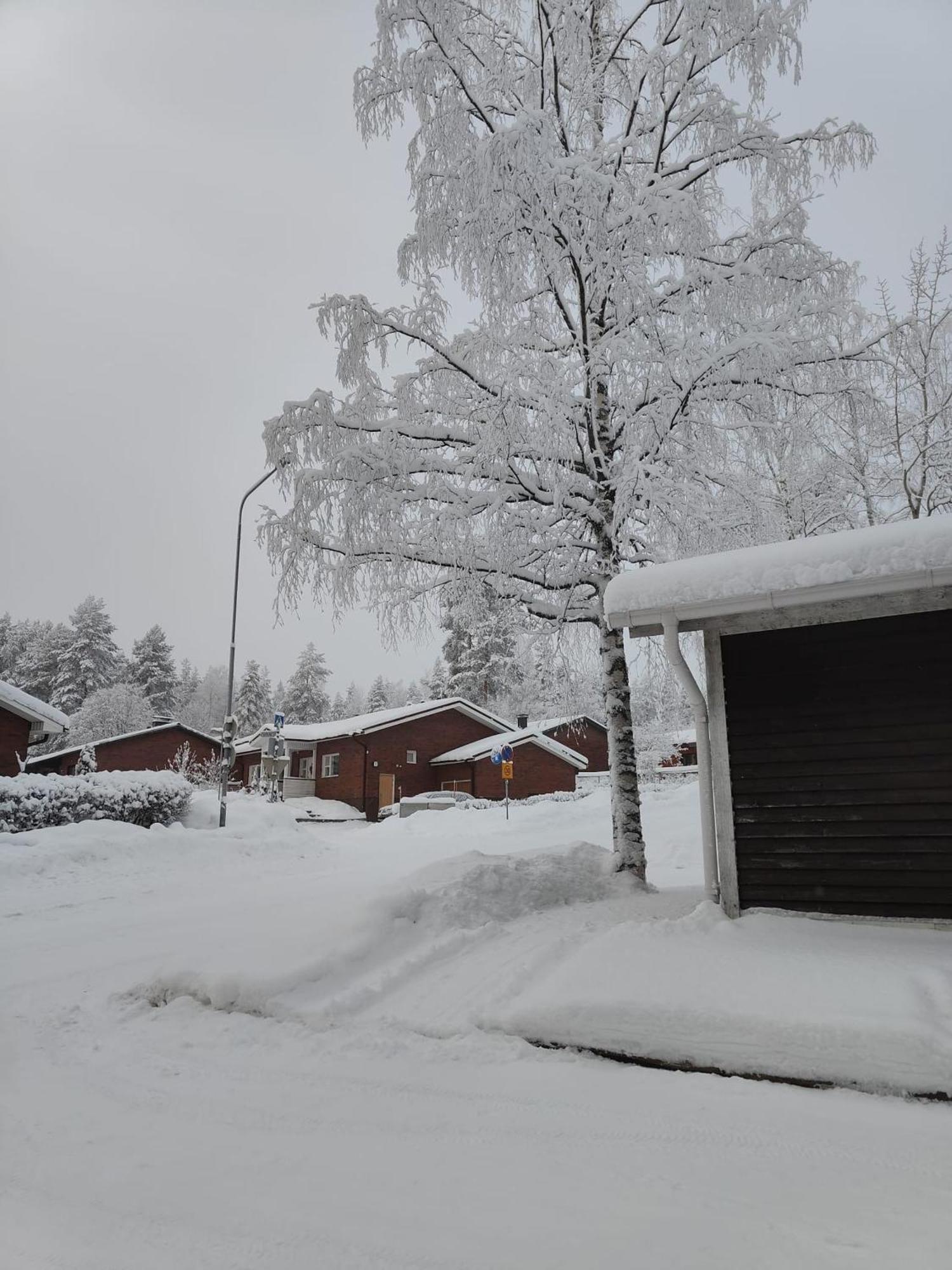 Cozy Forest Retreat In Kuopio - Perfect For Families Work Trips Extérieur photo